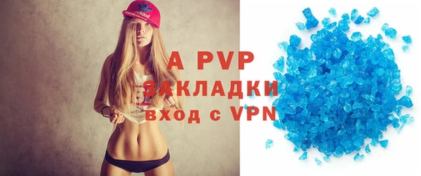 PSILOCYBIN Дмитриев