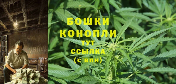 ALPHA-PVP Елизово