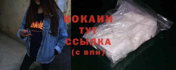 PSILOCYBIN Дмитриев