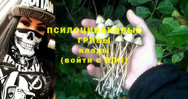 дурь Елабуга