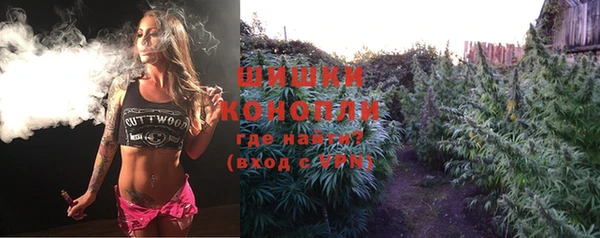 PSILOCYBIN Дмитриев