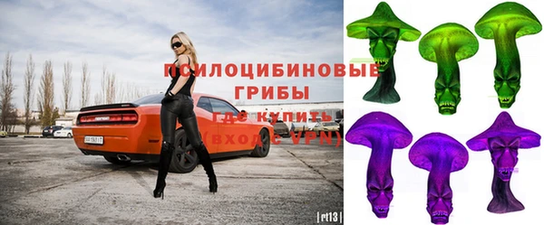 дурь Елабуга