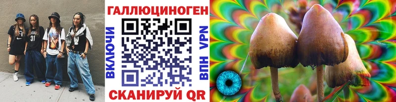 дарнет шоп  Далматово  Псилоцибиновые грибы мицелий 